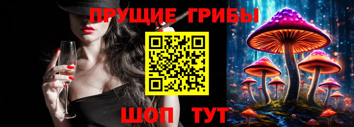Галлюциногенные грибы Psilocybine cubensis  Вход с VPN  Черемхово 