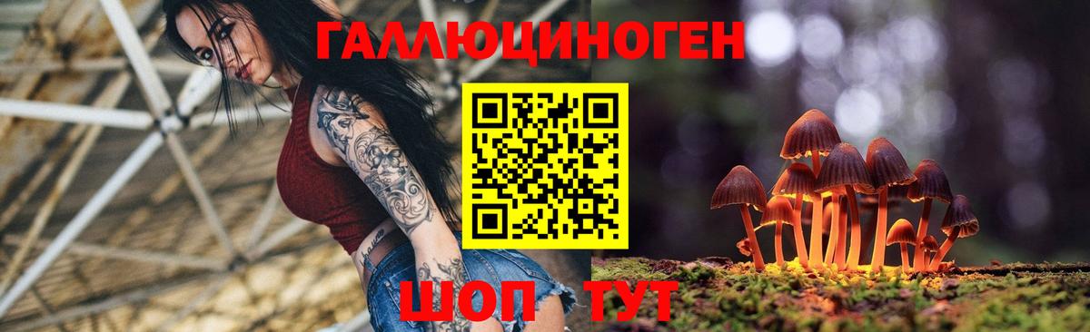 Галлюциногенные грибы мухоморы Черемхово